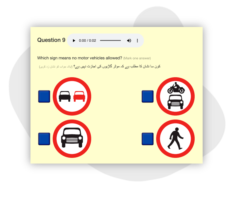 Theory Test Pro for Libraries
